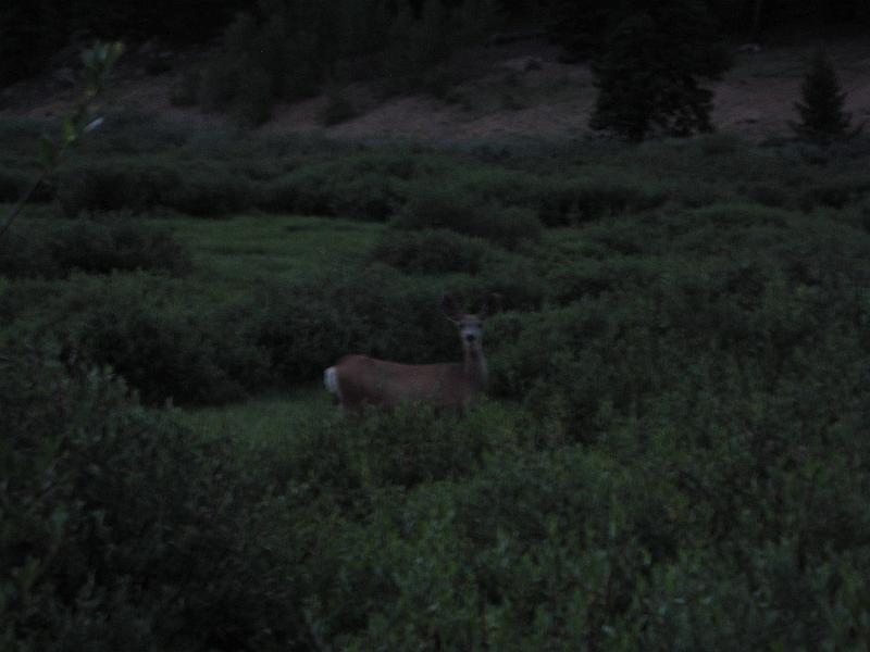 Mt Evans 072.JPG